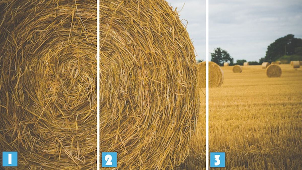 Needle in a Haystack 3 image number null